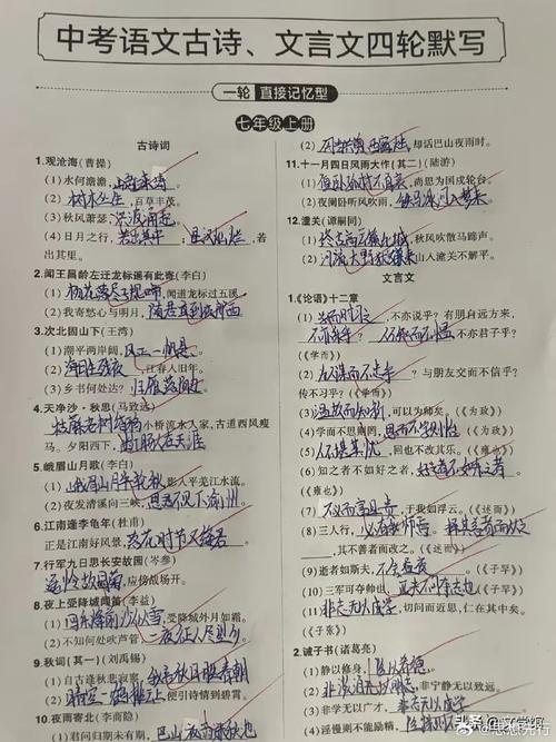 山东省中考语文古诗默写有哪些高频考点？