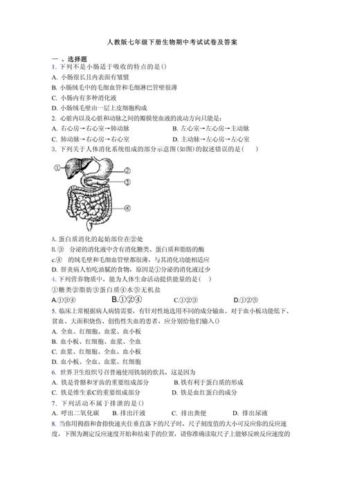 7年级生物下册期中试卷重点难点有哪些？