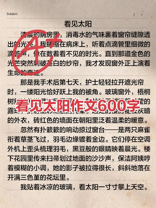 看见600字作文里，藏着怎样的故事与感悟？