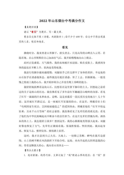 看见600字作文里，藏着怎样的故事与感悟？