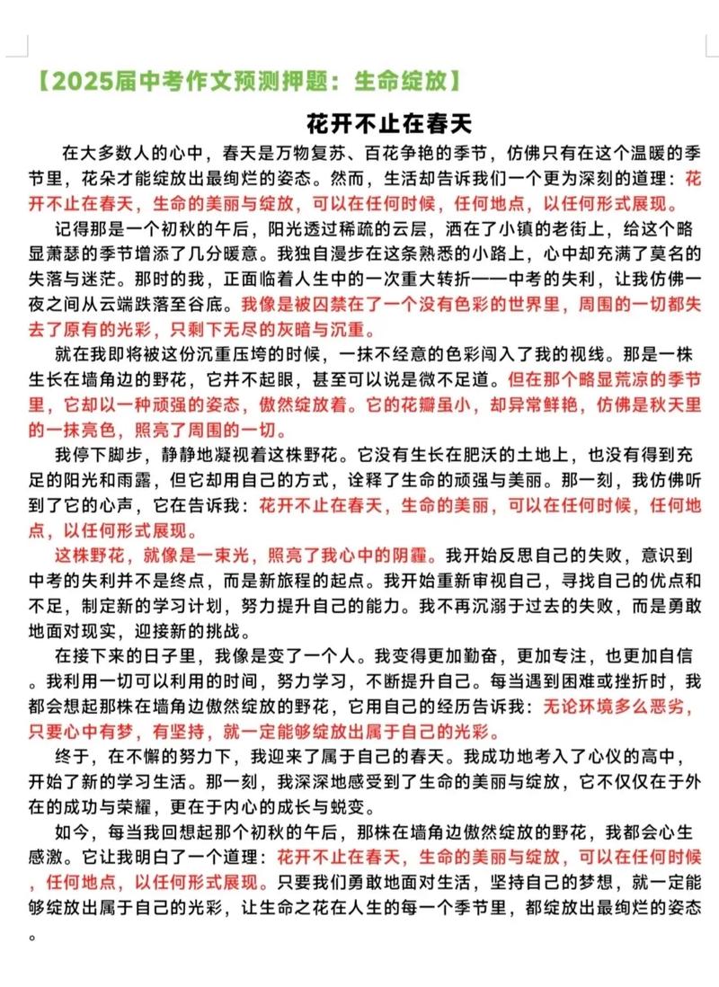 中考2025预测作文会考什么主题?