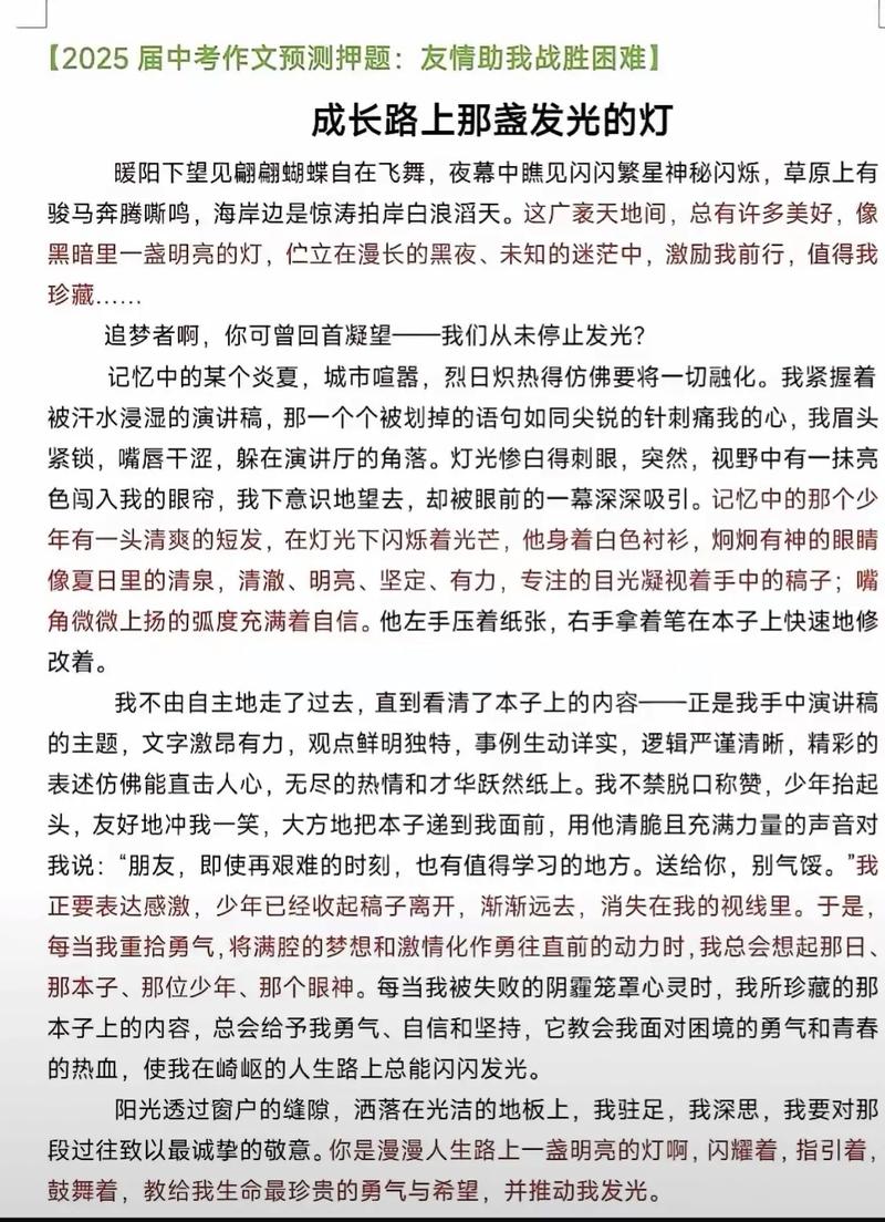 中考2025预测作文会考什么主题？