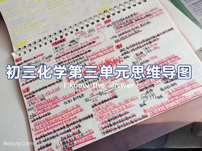 九年级化学第三单元复习