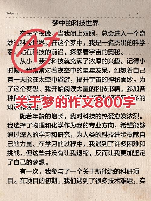 我的梦，究竟是什么模样？