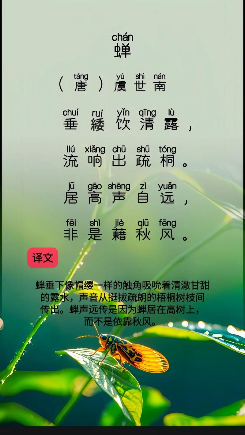 蝉虞世南古诗词阅读答案是什么?