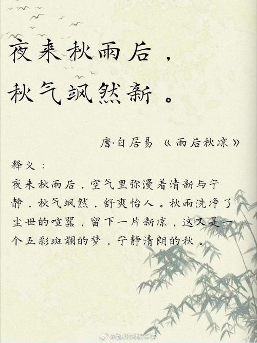 秋雨诗句古诗名句,哪句最动人心弦?