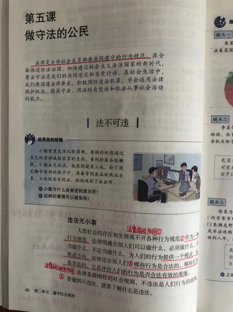 法不可违，七年级下册政治如何理解违法后果？