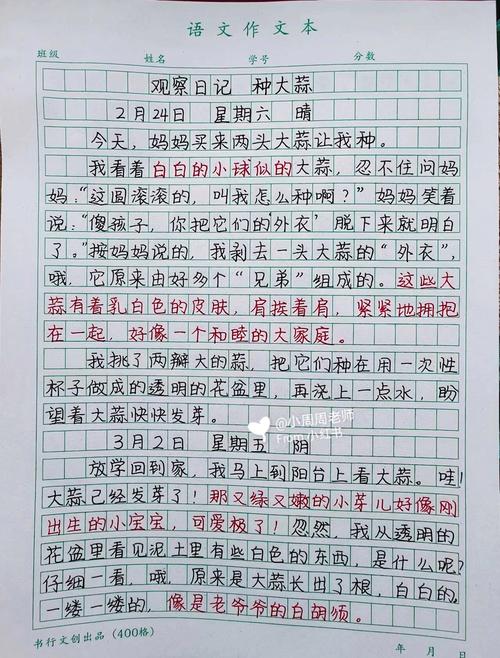 观察日记300字作文怎么写?