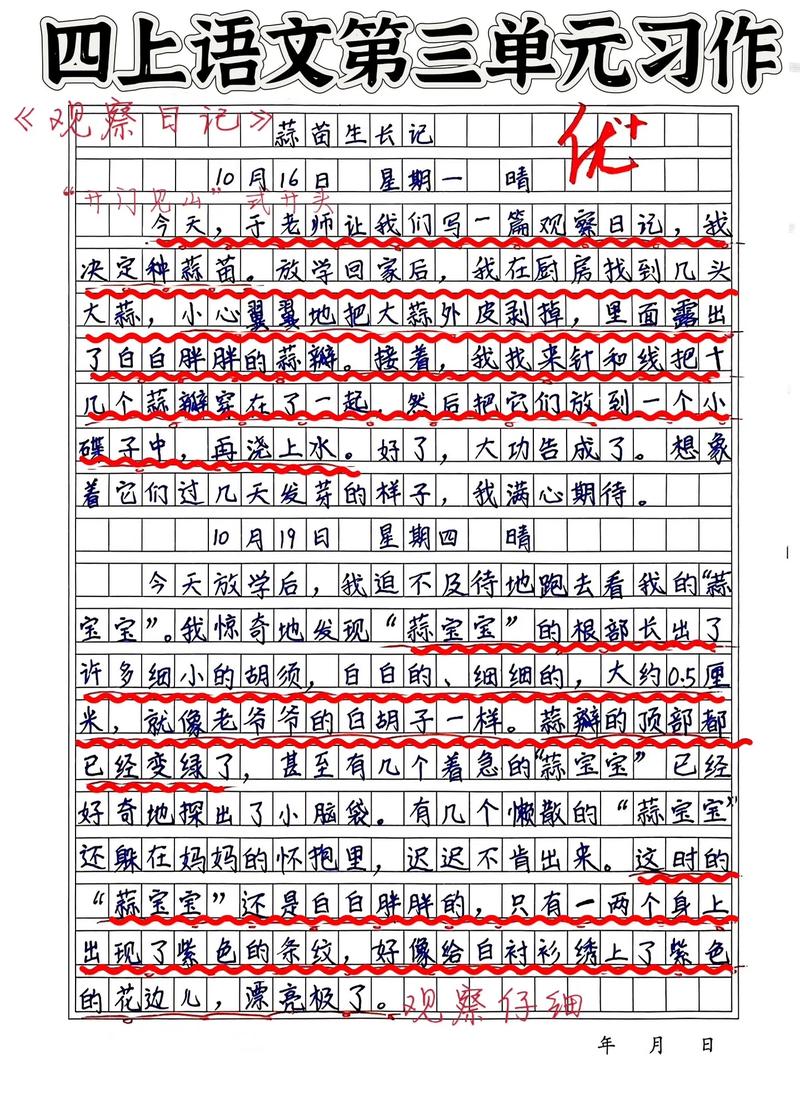 观察日记300字作文怎么写?