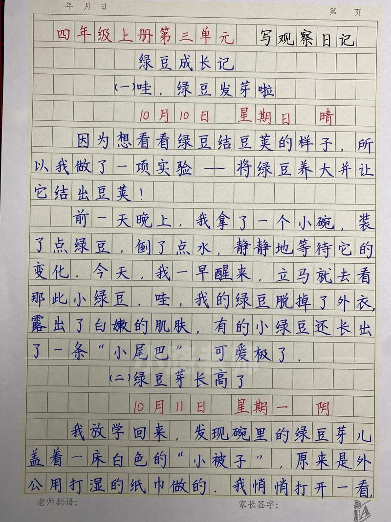 观察日记300字作文怎么写?