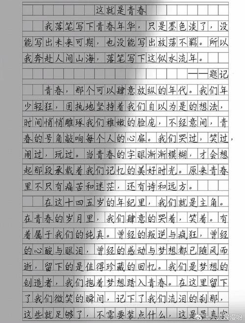 2005高考作文题意如何解读？