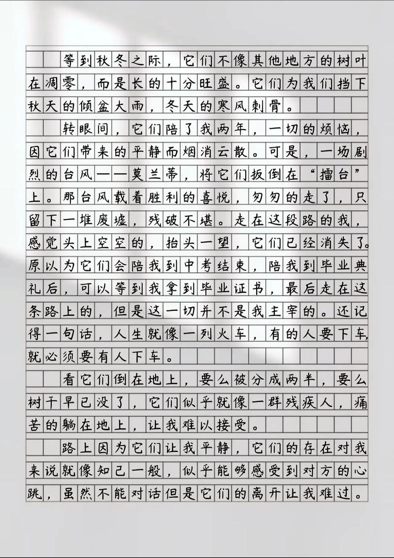 作文一路，一路何处去？