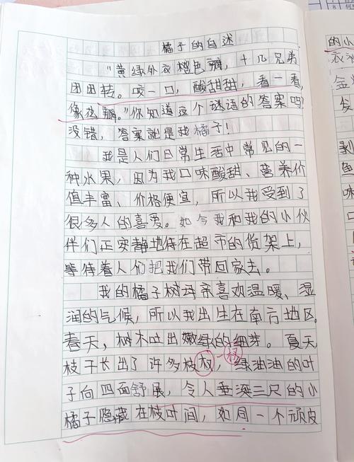 北师大版五年级上册作文怎么写？