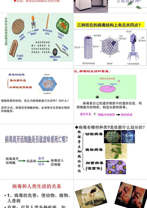 八年级上册生物免费课件哪里找？