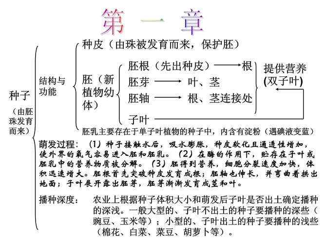 八年级上册生物免费课件哪里找？