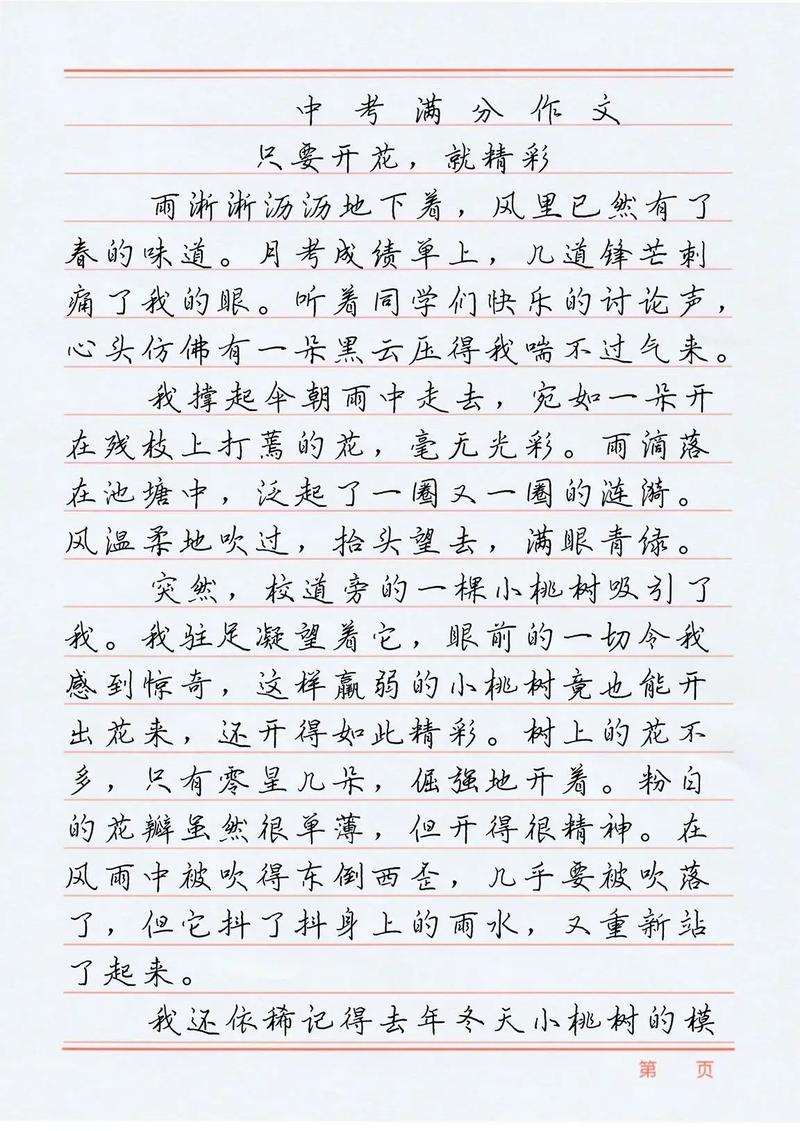 中考满分作文有何满分秘诀?