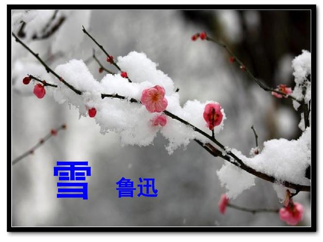 八年级语文雪PPT课件如何突出重点？