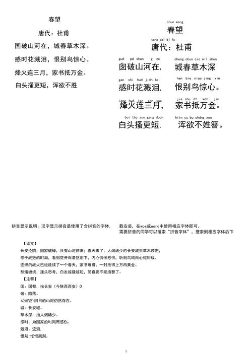 春望古诗鉴赏考点与答案解析？