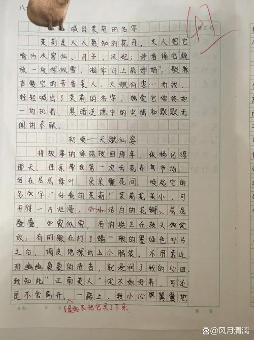 八年级优秀作文如何写出彩？