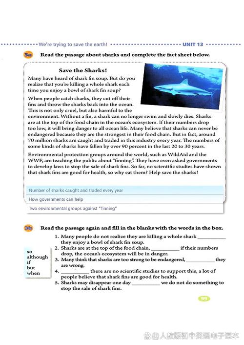 九年级英语13单元课件重点是什么？