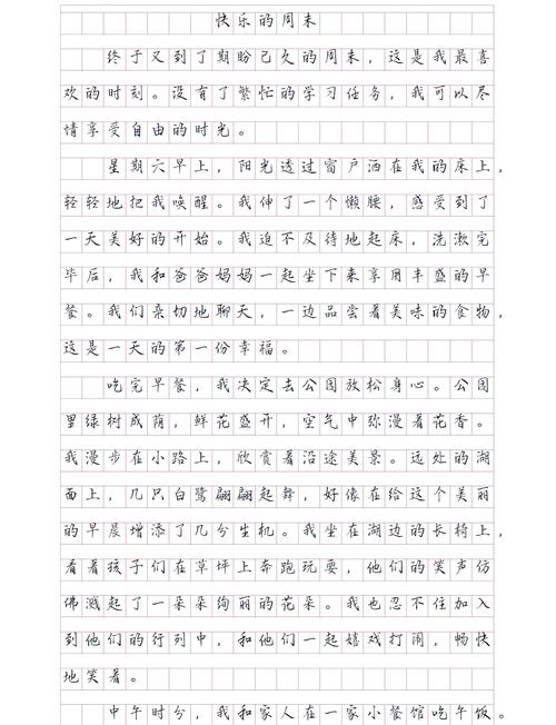 共度美好时光里藏着哪些难忘的温暖故事？