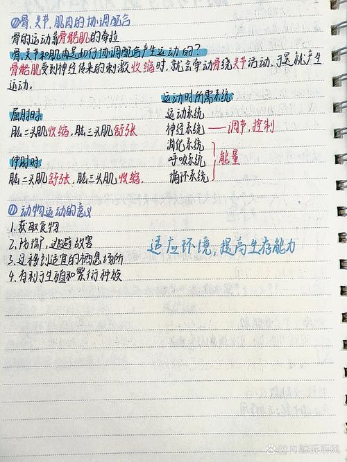 八年级上册生物第二单元核心知识点有哪些?