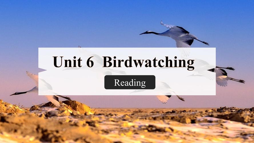 牛津译林八年级上册英语怎么学?