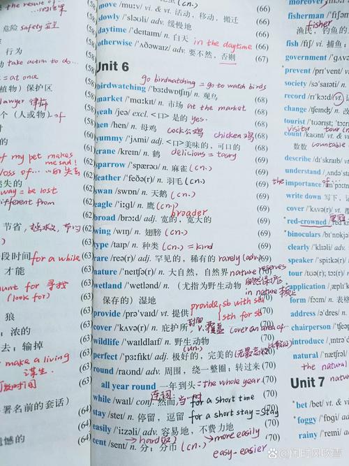 牛津译林八年级上册英语怎么学?