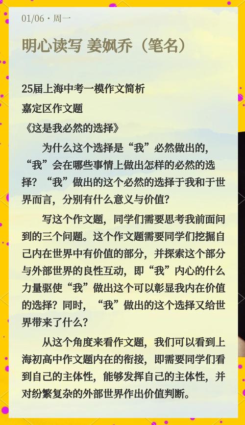 上海一模语文作文范文的评分标准是什么？