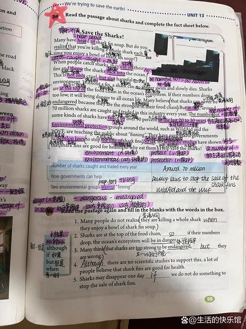 九下英语十三单元作文怎么写？