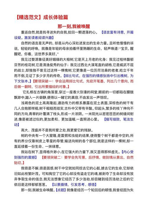 郑州中考语文作文素材有哪些优质内容?