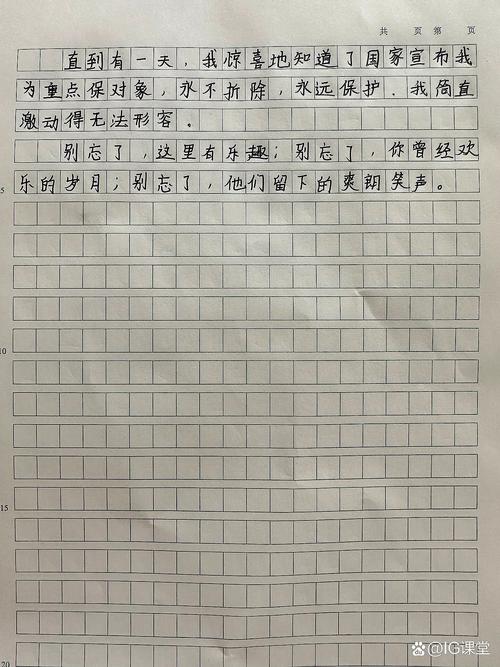 语文作文乐趣何在？