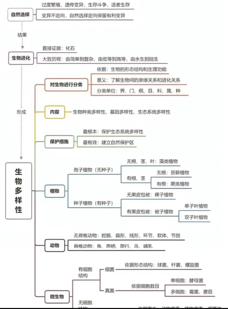 八上生物复习,重点难点如何高效突破?