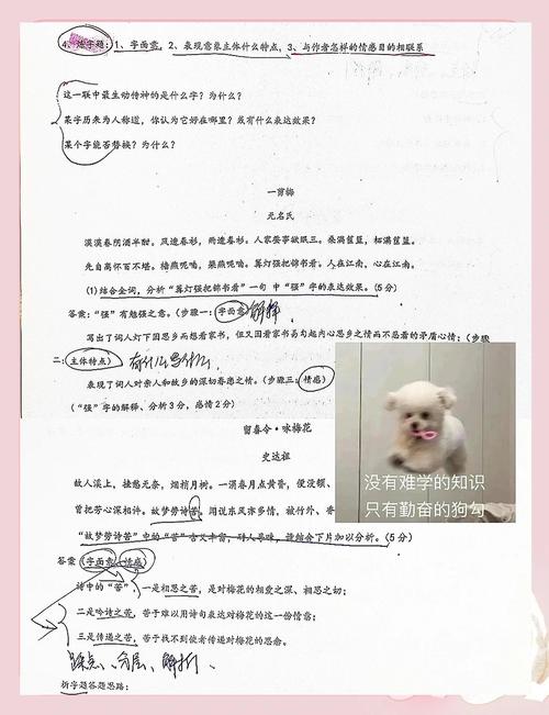 古诗歌炼字教学，如何设计更高效？