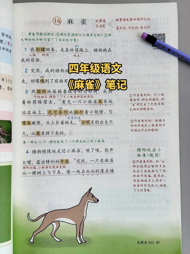 麻雀为何老雀护雀崽，母爱如何撼动强大？