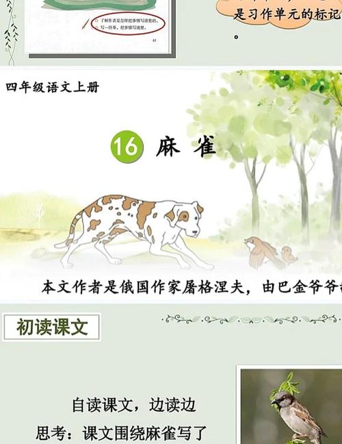 麻雀为何老雀护雀崽，母爱如何撼动强大？