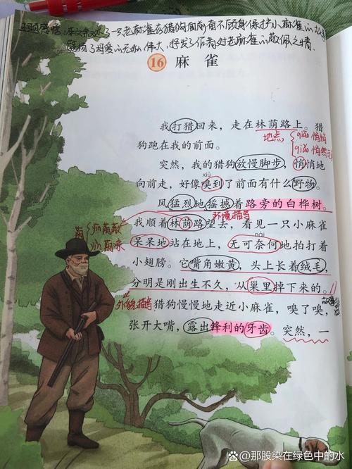 麻雀为何老雀护雀崽,母爱如何撼动强大?