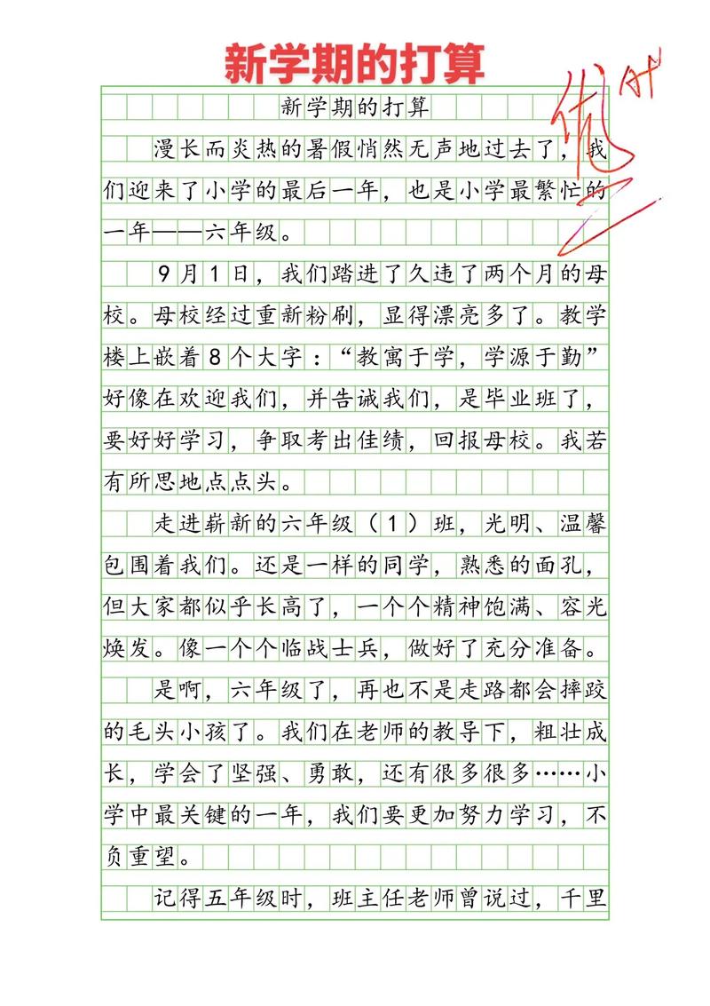 开学第一天打算作文怎么写？