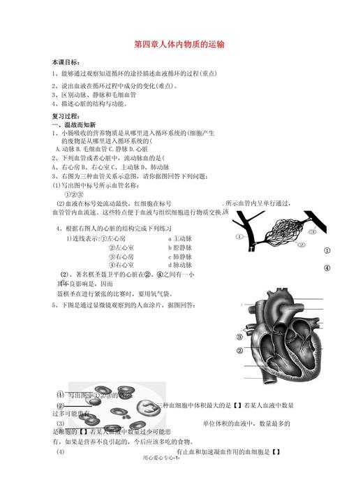 七下生物第四单元核心知识点有哪些？