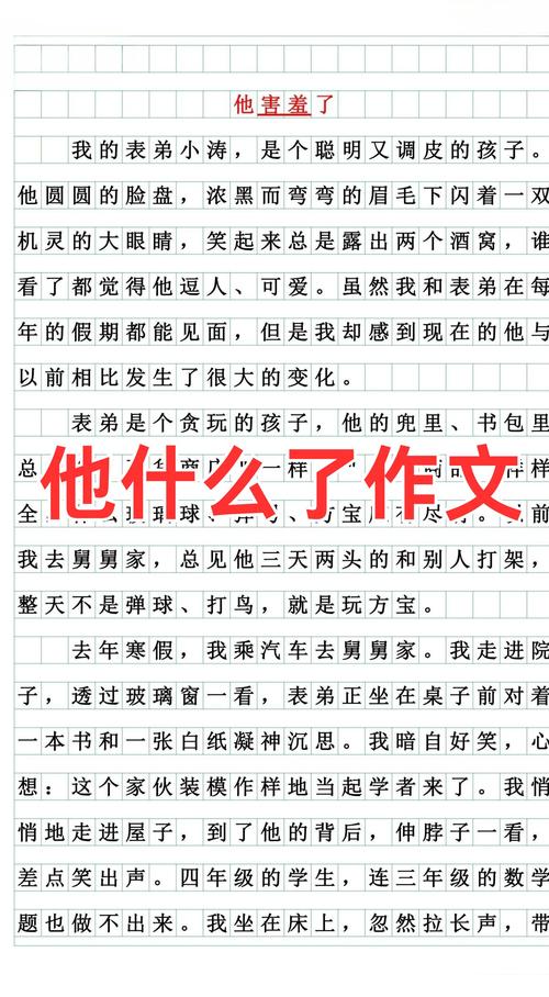 为何偏偏是你我她它，共写一篇作文？