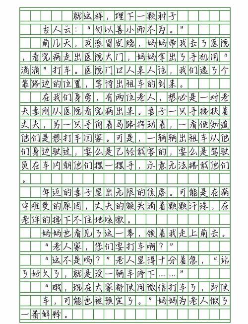 埋下种子后,如何让它在岁月里开出花?