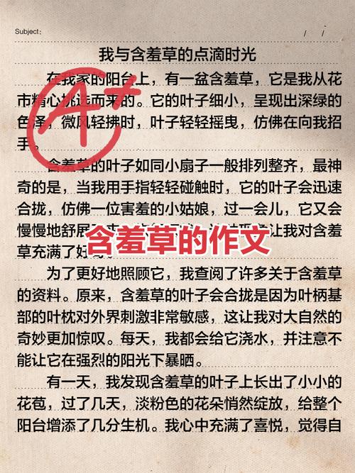 含羞草为何含羞？700字作文里藏着什么秘密？