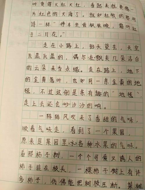 初一上册第一单元作文怎么写？