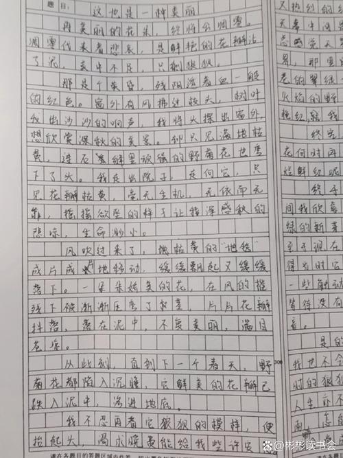 美丽如何征服人心？