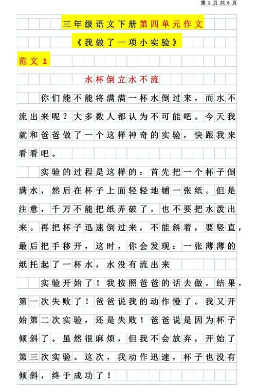 奇妙实验室作文600