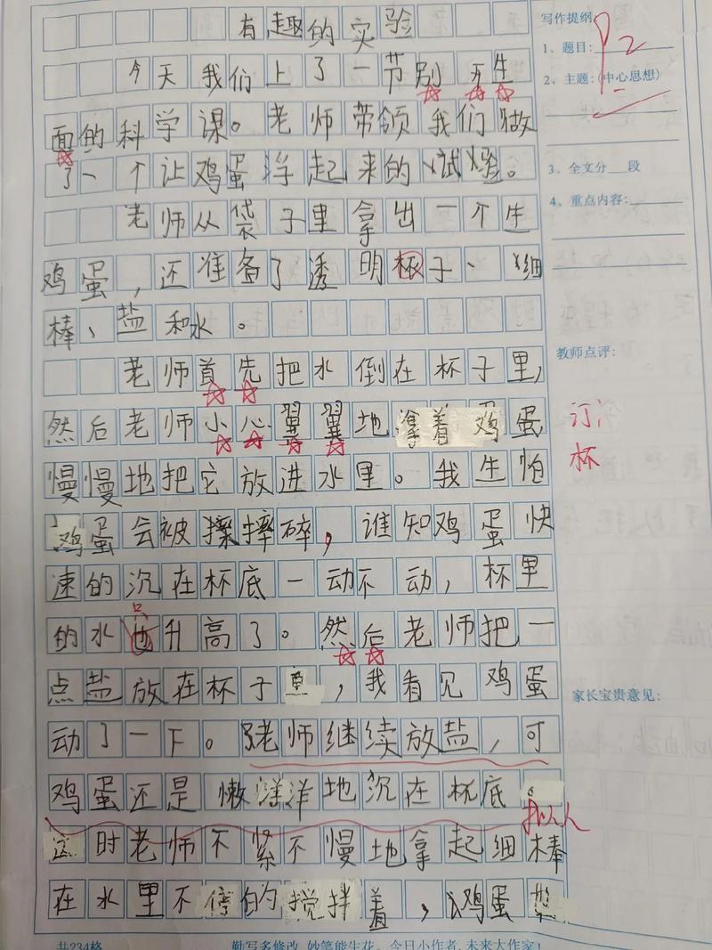 奇妙实验室作文600