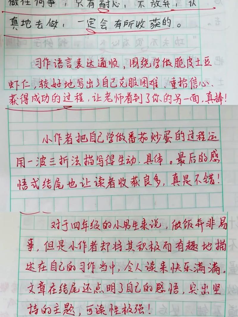 我学会了什么作文批语，批语里藏着什么秘密？