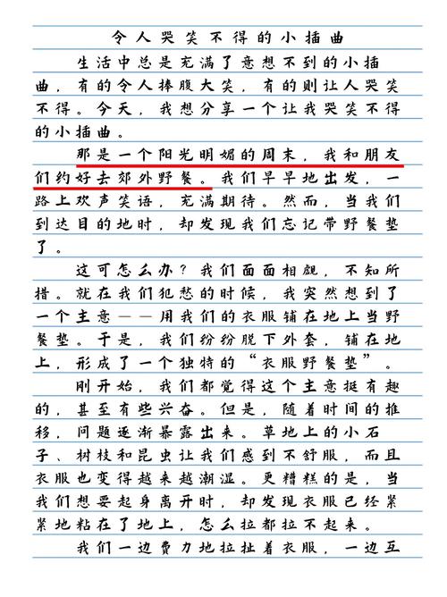 美丽的插曲作文 初三