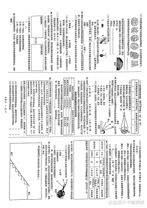 七年级上册科学试卷答案哪里找？