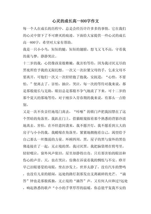 围墙之外,藏着怎样的世界与故事?